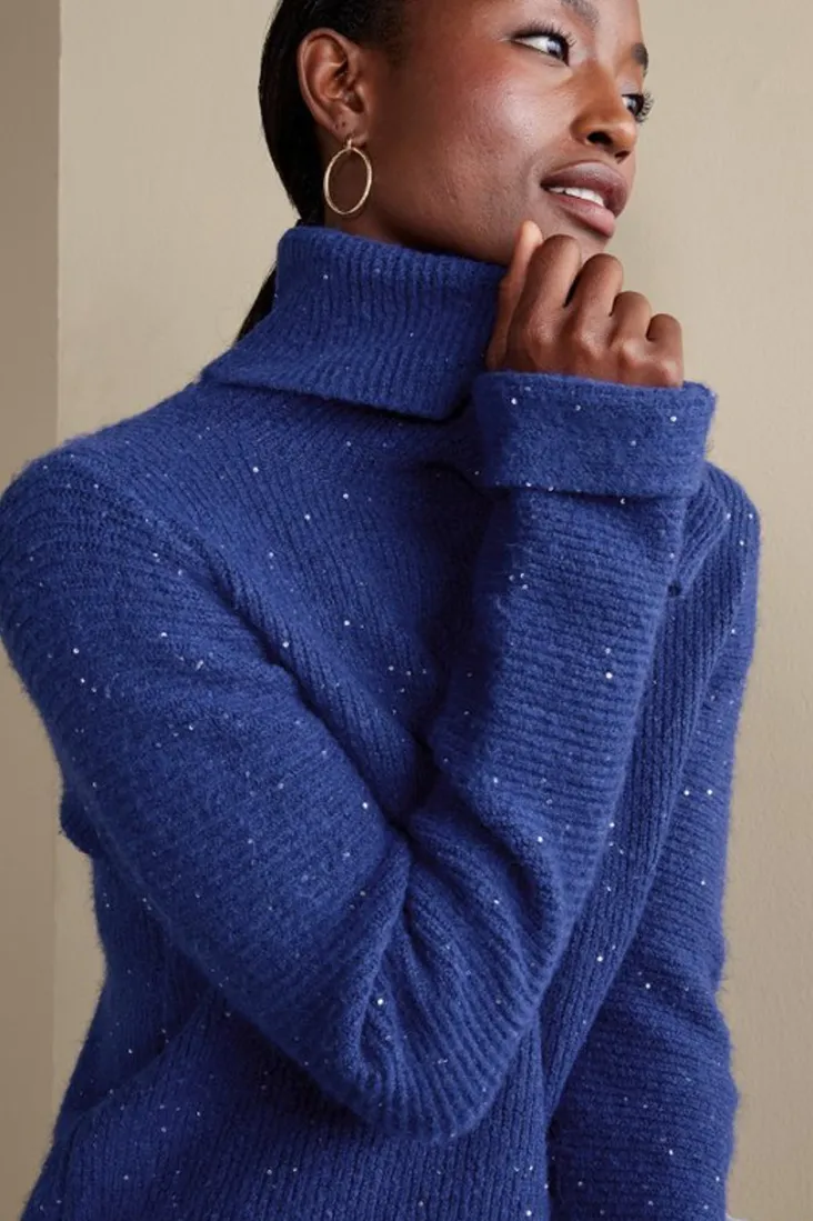Best Sale Soft Surroundings Linley Sequin Sweater