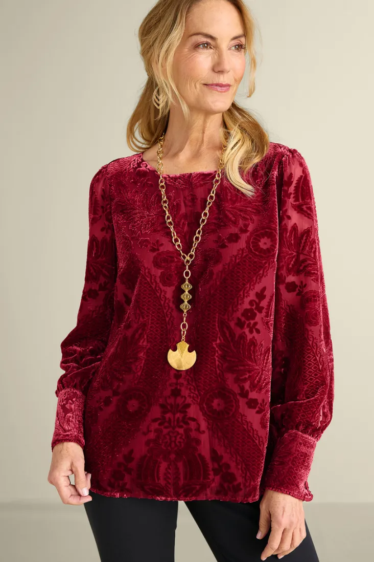 Shop Soft Surroundings Vanetta Velvet Top
